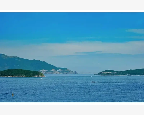 B2B交易额增长背后的核心驱动力